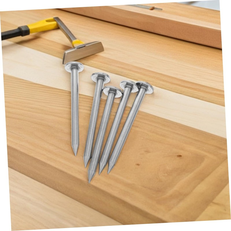 Kisangel 6pcs Stainless Steel Survey Spikes Heavy Duty Flat Head