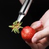 YARZFERI 2 Pcs Stainless Steel Tomato Corer Tool Strawberry Huller