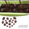 Clay Pebble, Wacent Hydroponic Clay Pebbles Grow Media Anion Clay