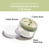 SKINTIFIC Mugwort Mask Anti Pores & Acne Clay Mask Moisturizing