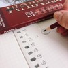 Juego de 12 Lápices de Grafito para Dibujo Artístico Profesional,