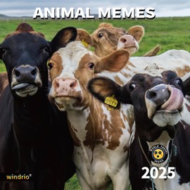 2025 Wall Calendar,Funny Calendar 2025, November 2024 - December 2025, Wall Calendar Funny Animal Memes, 12" x 24" Opened, Full Page 14 Months Thick Paper for Gift Calendar Organizing Planning