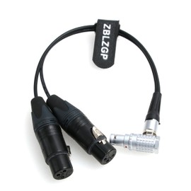 ZBLZGP Audio Breakout Input Cable 10 Pin to Dual 3-Pin XLR Female for Atomos Shogun Flame Monitor Recorder (Elbow Plug Cable)