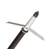 Allen Company Stryke Tomahawk 2 Blade Expandable Broadhead by Allen,