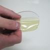 Esco EA800Z Goggles (Anti-Fog)