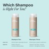 Paul Mitchell Shampoo Two, Clarifying Shampoo, Deep Cleanses + Removes
