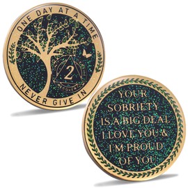 LParkin 2 Year Sobriety Coin, Tree of Life Recovery Coin, AA Recovery Medallion, Anniversary Token Sobriety Gifts, Alcoholic Anonymous Locket