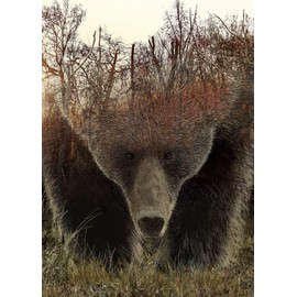 Animal Bear Jigsaw Puzzles for Adult 1000 Piece, Difficult Hard Impossible Puzzles for Adults, Nature Hunting Puzzle 1000 Piece