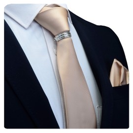 Gusleson Brand Men's Solid Silk Wedding Champagne Ties Neckties and Pocket Square Bar Pins Clasp Sets (UK0799-10-S)