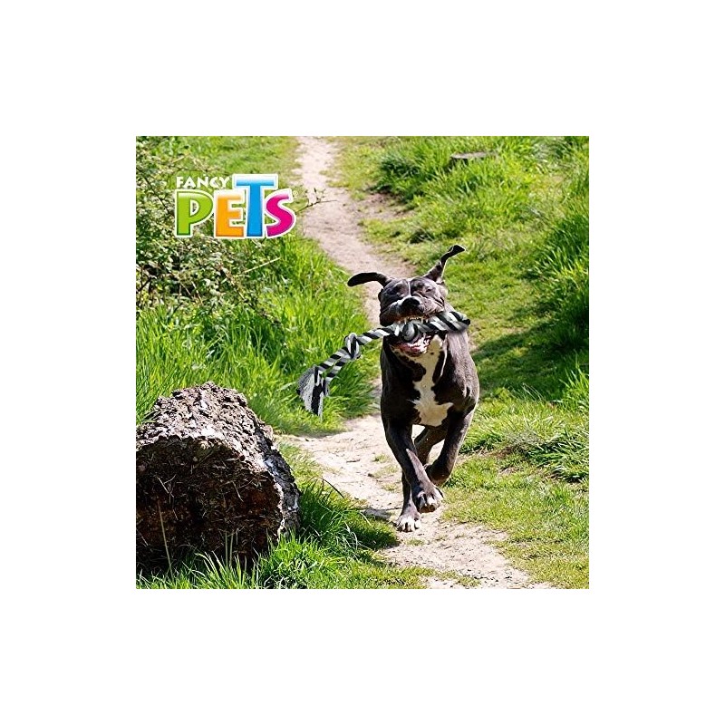 Fancy Pets Juguete de Hilo para Perros Grandes. 56 cm.