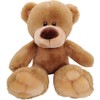 Anico 13" Pick-A-Pet Plush Bear