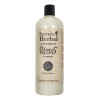 Acondicionador Natural Rizos Secreto Herbal Chía Y Ricino 1l