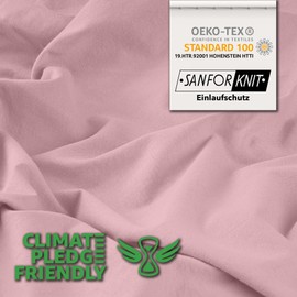Studio Basic Fitted Sheet 140 x 200 cm, 100% Combed Cotton, Oeko-Tex 100, Brand Quality, Flat Sheet 140 x 200 cm for All Standard Mattresses up to 25 cm Height, Powder