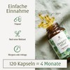NATURTREU® Oregano Oil Capsules with Vitamin A, 120 Oregano Oil