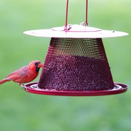 Perky-Pet C00322 Red Cardinal Bird Feeder - 2.5 Feed Capacity