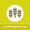 Yupik Organic Ground Buckwheat Flour 2.2 lb (35.2 oz), USDA