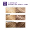L'Oreal Paris Excellence Cool Supreme Permanent Hair Color, Ash, 100