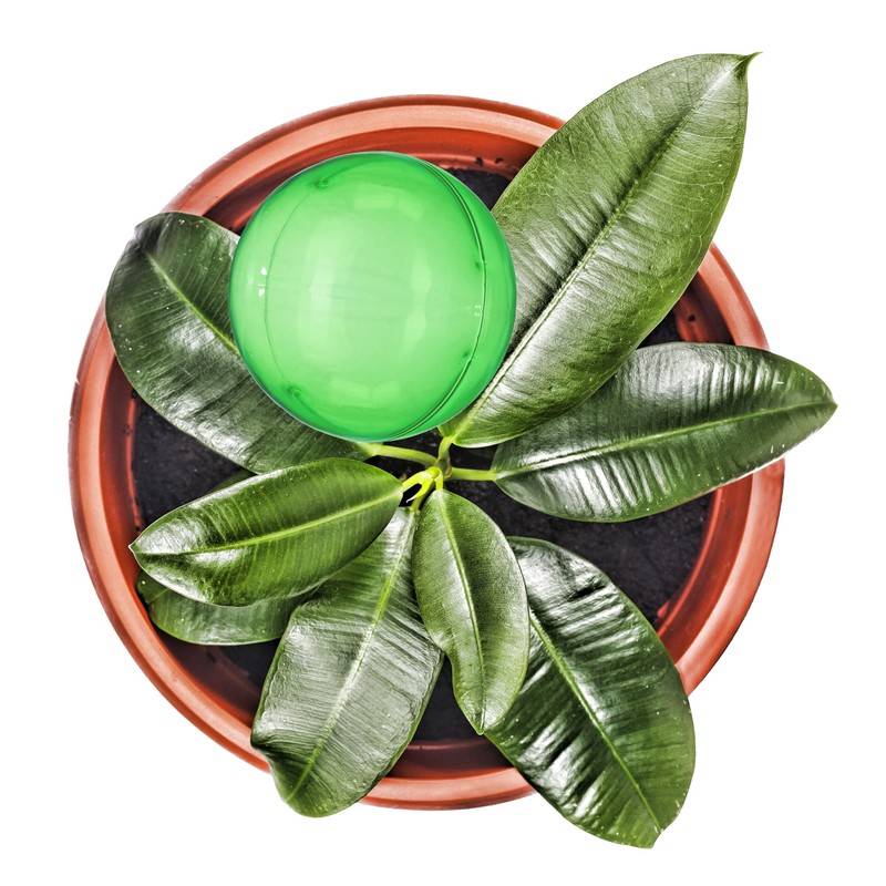 Relaxdays Plant Watering Globes Set, 2-Week Reservoir for Potted Plants,