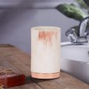 nu-steel MST5CH Misty Copper Collection Tumbler, Perfect for Home &