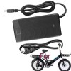 RXQMXG 54.6V AC Adapter Battery Charger For Lectric XP 1.0