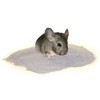 Lixit Blue Beauty® Chinchilla Dust Powder - Dry Bath Grooming