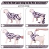 PetWarm Surgery Suit for Dogs, Dog Cone Alternative After Surgery,