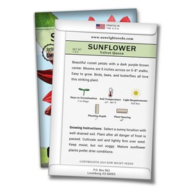 Sow Right Seeds - Velvet Queen Sunflower Seed for Planting- Full Packet with Instructions, Beautiful Non-GMO Heirloom Flower to Plant, Wonderful Gardening Gift (1 Packet)