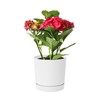 Prosperplast DPOP180 Flower Pot 17.5 x Diameter 18 cm with