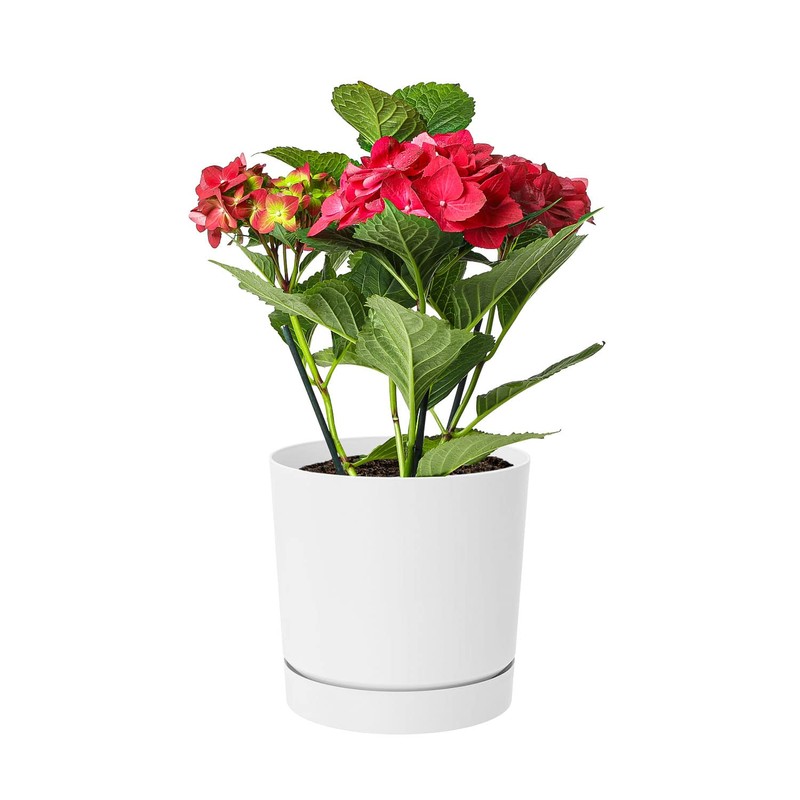 Prosperplast DPOP180 Flower Pot 17.5 x Diameter 18 cm with