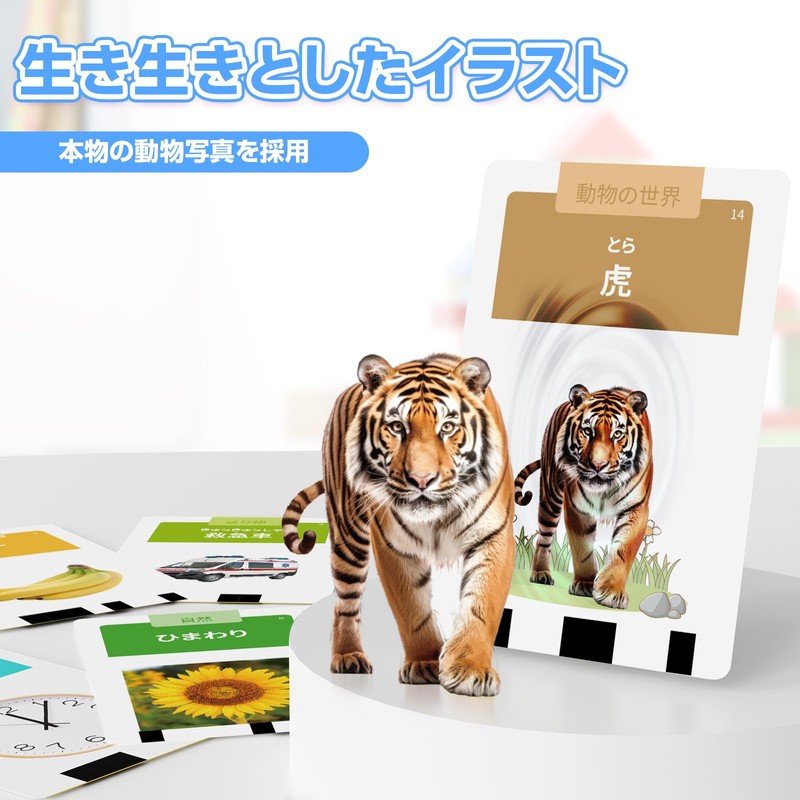 HOMESTEC Flash Cards Talking Language Cards English Words Toddler Blue