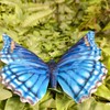Vivid Arts - Hanging Butterfly Blue - BG-BF22-F