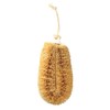 Turtle Baby Body Brush nisio The
