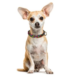 TMOODEL Reflective Dog Collar for Extra Small Dogs, Cute Boho Adjustable Heavy-Duty Nylon Puppy Collar for Boy and Girl Female, Soft Pet Accessories with Quick Release Buckle, Abstract Rainbow Art