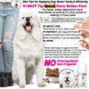 The Blissful Dog Great Pyrenees Unscented Nose Butter - Dog