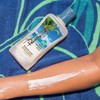 Panama Jack Sunscreen Lotion Multi-Packs (Pack of 1, SPF 50)