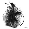 ZARSIO Fascinators Hat for Women Tea Party Headband Derby Feather