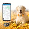 GPS 4G Dog Tracker with Health Monitoring & Real-Time Tracking