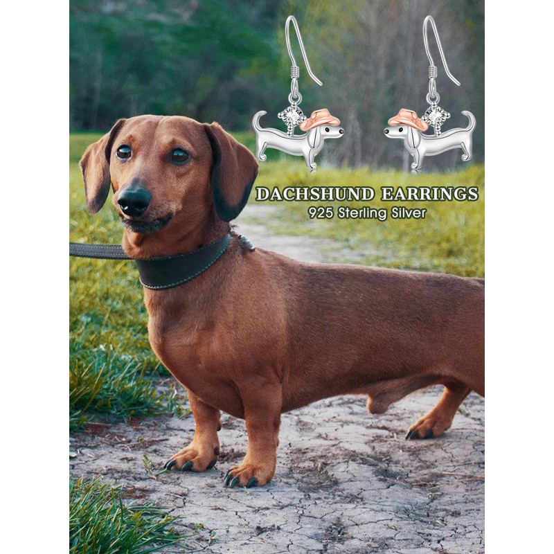 Dorunmo Dachshund Birthstone Earrings 925 Sterling Silver Dachshund Dog Dangle