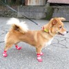 Lunali Dog Socks Socks for Dogs Anti-slip Velcro Set of