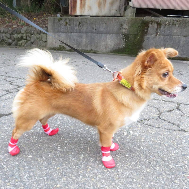 Lunali Dog Socks Socks for Dogs Anti-slip Velcro Set of