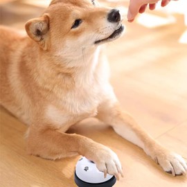 Funngy Dog Bells Toilet Training Dog Doorbell,2 PCS Dog Bells for Dog Training Dog Bells Training Quality Loud and Crisp Doorbell for Potty Toilet Training And Eating Communication Bells