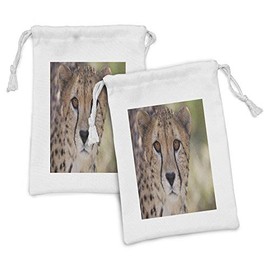 Ambesonne Leopard Fabric Pouch Set of 2, Close up Image of Cheetah with Deep Brown Eyes on a Blurred Background Wildlife, Small Drawstring Bag for Toiletries Masks and Favors, 9" x 6", Multicolor