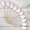 Plastic Hollow Eggs On Sticks White Easter Eggs to Decorate