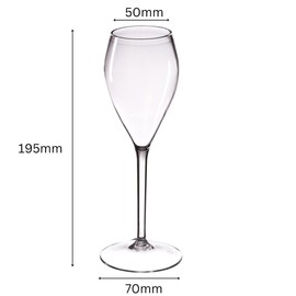 AIOS Unbreakable Tritan BPA Free Prosecco Flute/Champagne Flute 165ml (Set of 6)