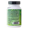 Dr. Joe's Enzyme Support