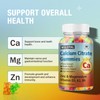 MSLOTAL Calcium Citarte Gummies, Calcium 1200mg with Vitamin D3, B6,