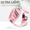 PUPTECK Soft Mesh Dog Harness and Leash Set Pet Puppy