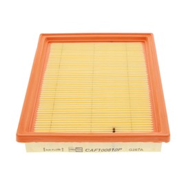 Air Filter Champion; (CAF1 00810P) | Filter, Air Supply