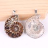 BOBEINI Natural Ammonite Fossil Pendant Jewellery Clay Silver Ammonite Fossil