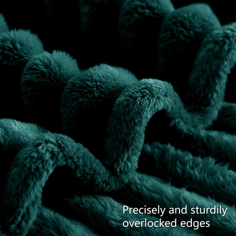 RUIKASI Fleece Throw Blanket for Sofa - Single Fluffy Emerald